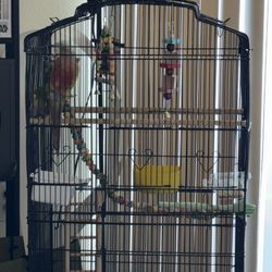 Cage 
