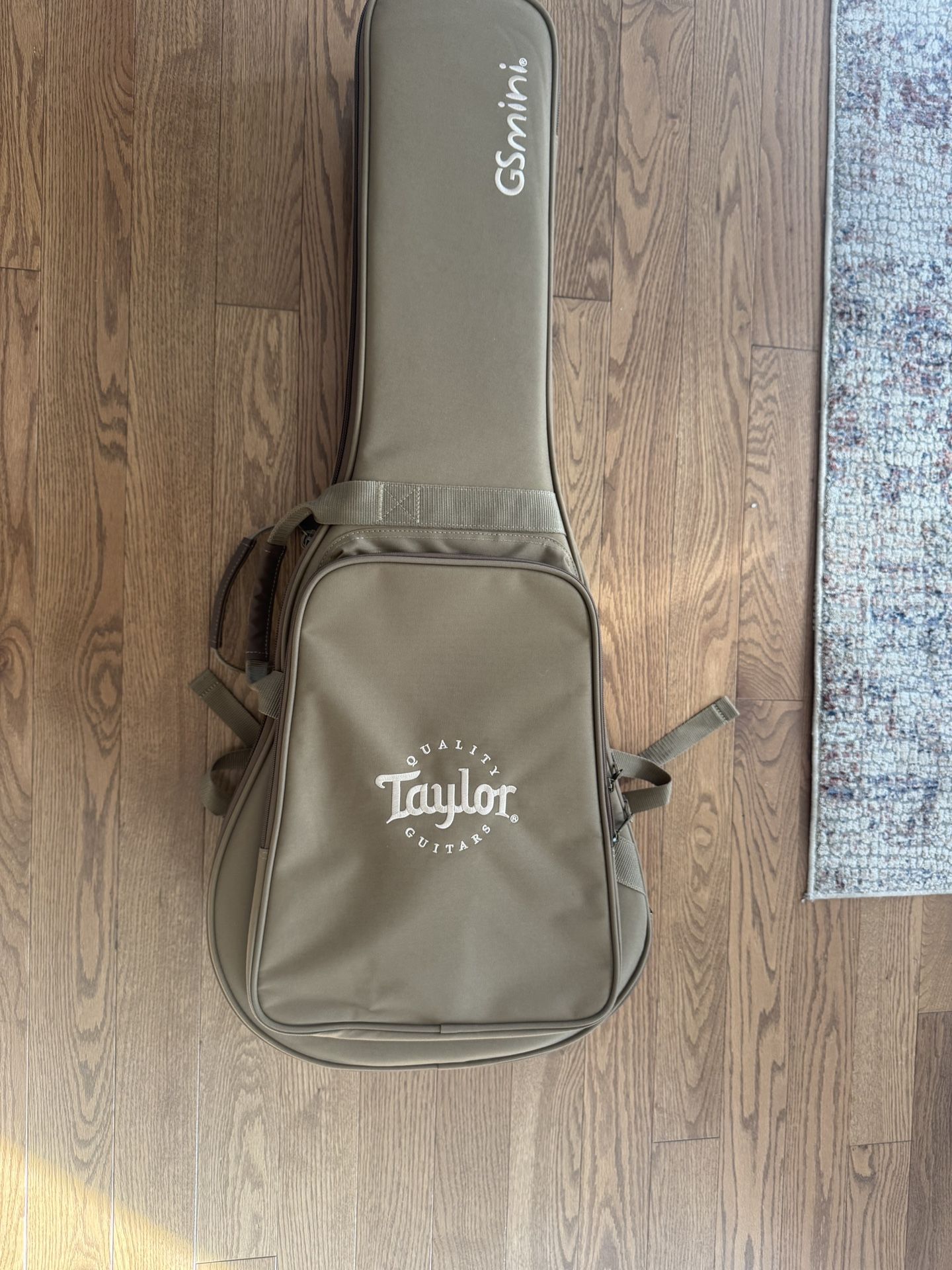 Taylor GS Mini Guitar Case
