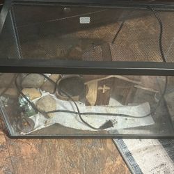 Reptile Tank 