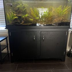 60g Fish Tank, Stand, Filters, Heater