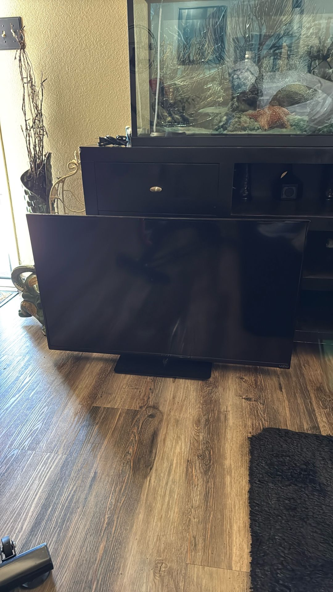 Vizio Flatscreen