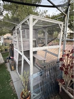 Catio