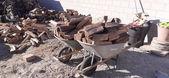 Eucalyptus Firewood