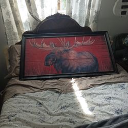 Moose !!! 