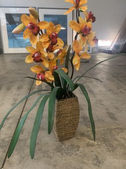 Decorative flowers 💐 🌺