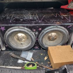 Competition 12" Subwoofers With Amp 