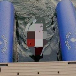 Doggy Dock For Pool Or Boat