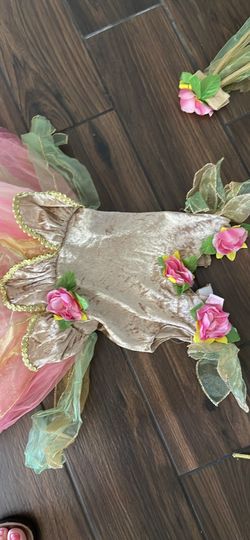 Size 5-6 Girl Dress And. Accessories 