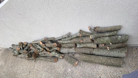 Free Oak Firewood