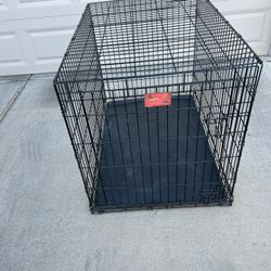 XL Dog kennel