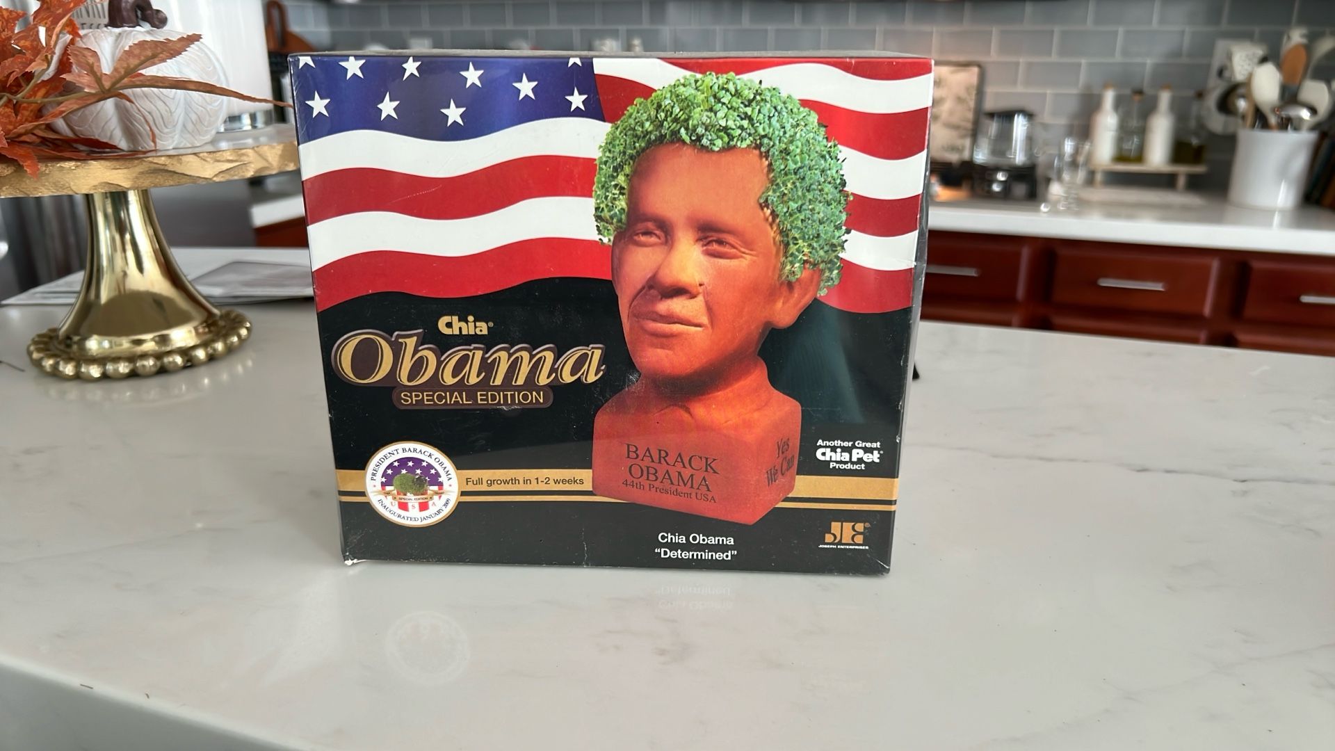Obama Chia Pet