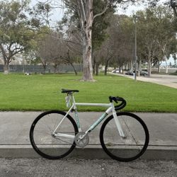 Bianchi Pista Fixed Gear Bike