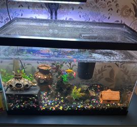Fish Tank Aquarium with Accessories