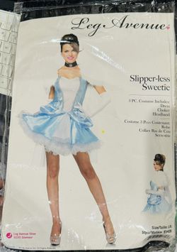 Cinderella Costume Adults