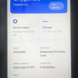 OnePlus N300