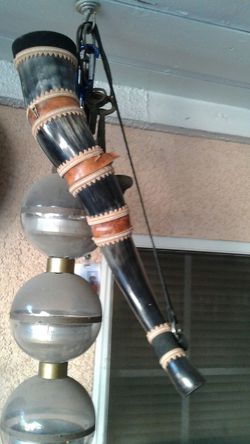 Bull horn