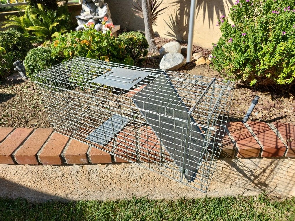 Cage Trap