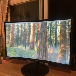 Curved Monitor (24 in)