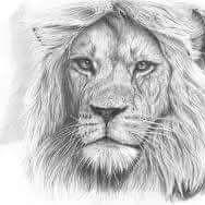 💥💥Drawing Artist Can Draw Anything Your Mind Can Imagine💥💥💥