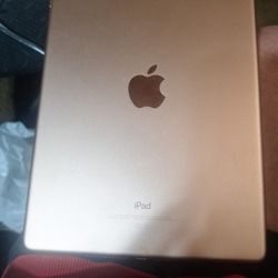 Apple I Pad  Model A193