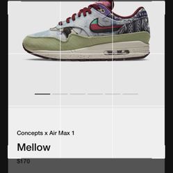 Concept X Air Max 1