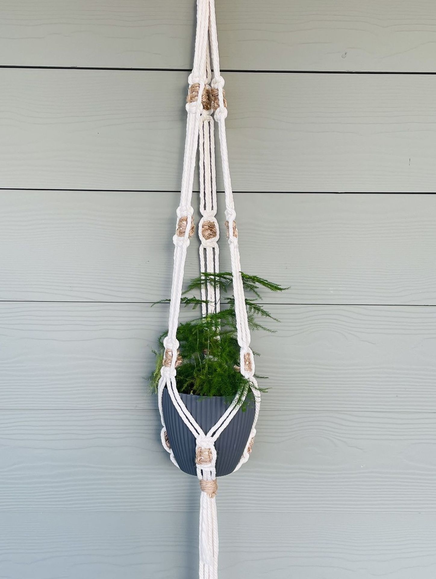 Macrame Plant Hanger With Plant