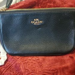 Women purse coach