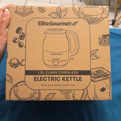 Electric Kettle 