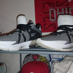 LeBron Witness 7 Size 10