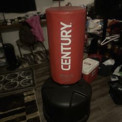 Punching Bag 