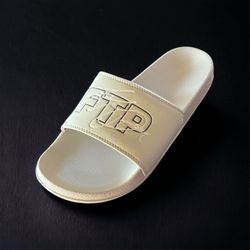 FTP Slides 8,10 &11