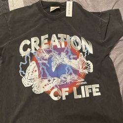 Creation of Life