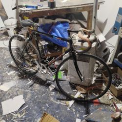 1991 Centurion Diamond Back 21 Speed 