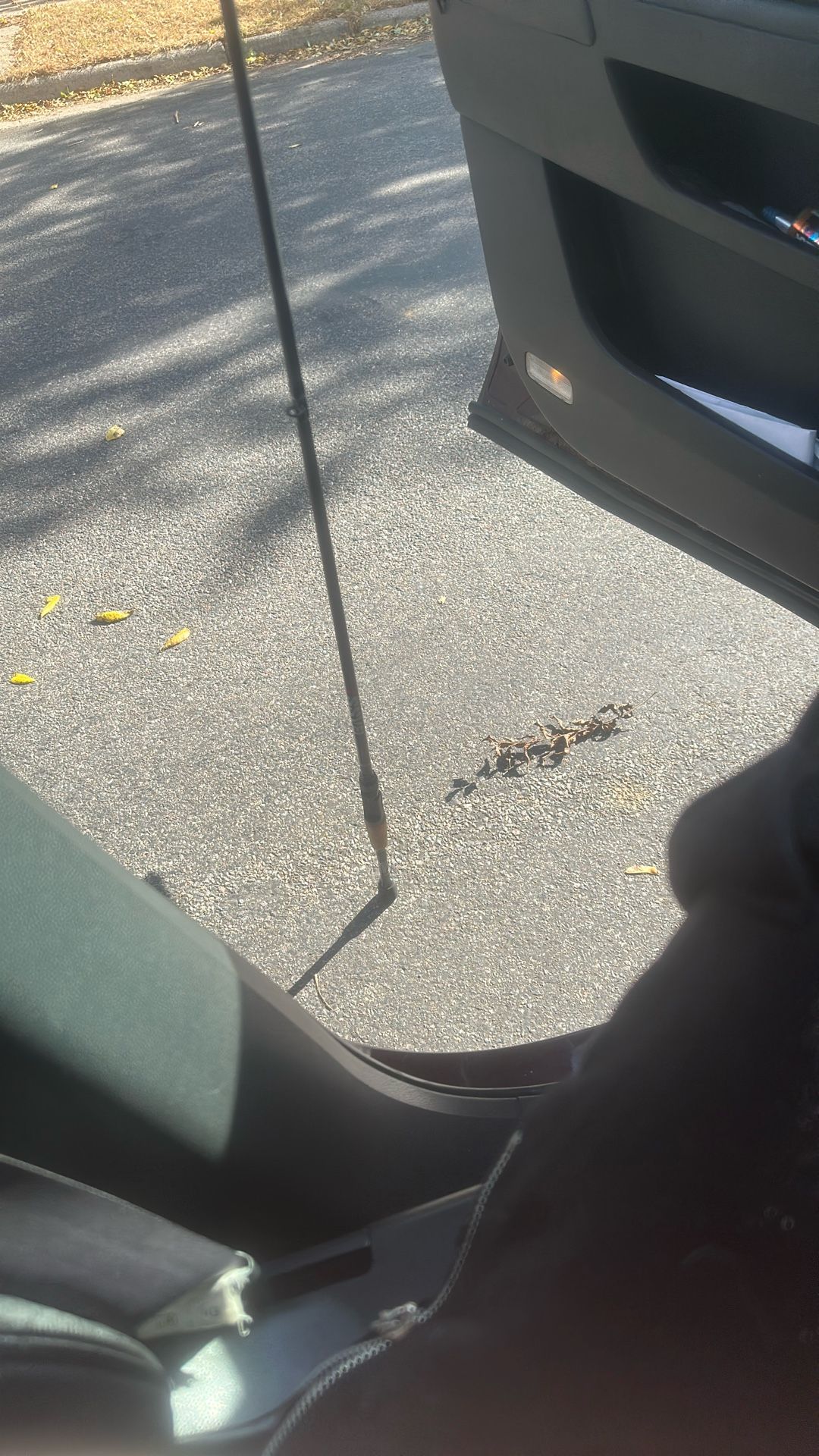 BASSX ST. CROIX FISHING ROD