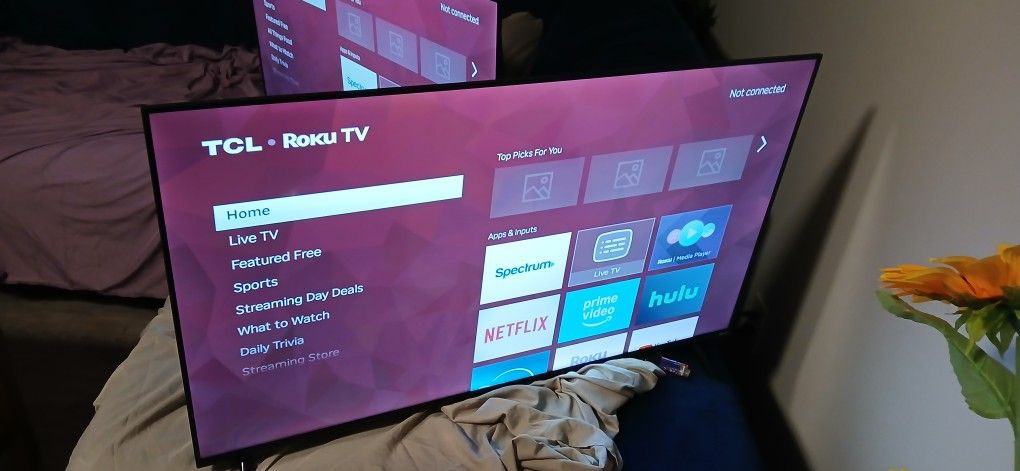 Roku TCL SMART TV 43 INCH 1 LEFT!!!!!