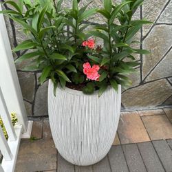 Flowers + Pots