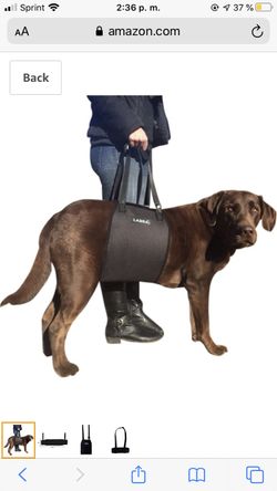 Labra Dog Canine Chest Halter Harness