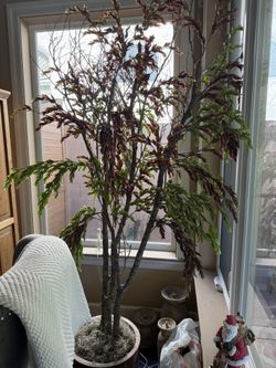 Artificial Plant/tree