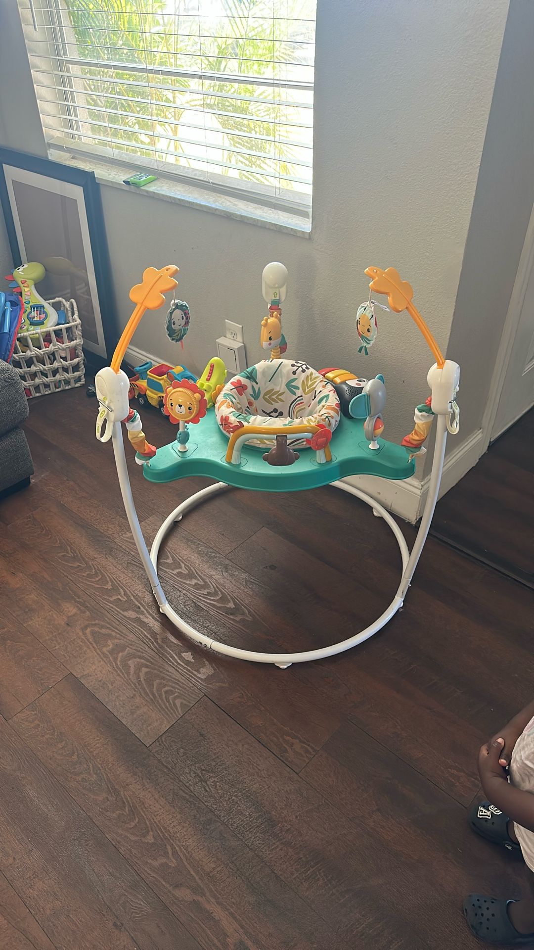 Fisher Price Baby Bouncer 