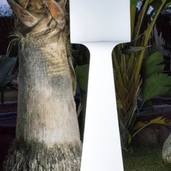 Outdoor Corded Floor Lamp 