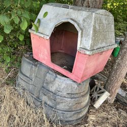 Dog House