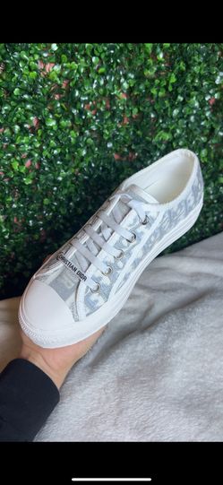Dior Shoes