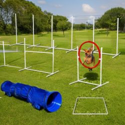 New in box 6Pack Dog Agility Training Equipment Set