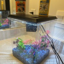 2.5 gallon fish tank