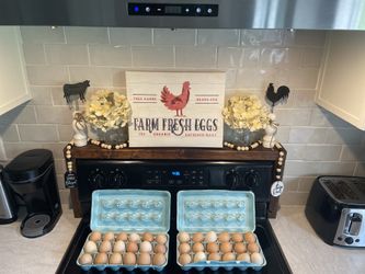 Fresh Farm Eggs