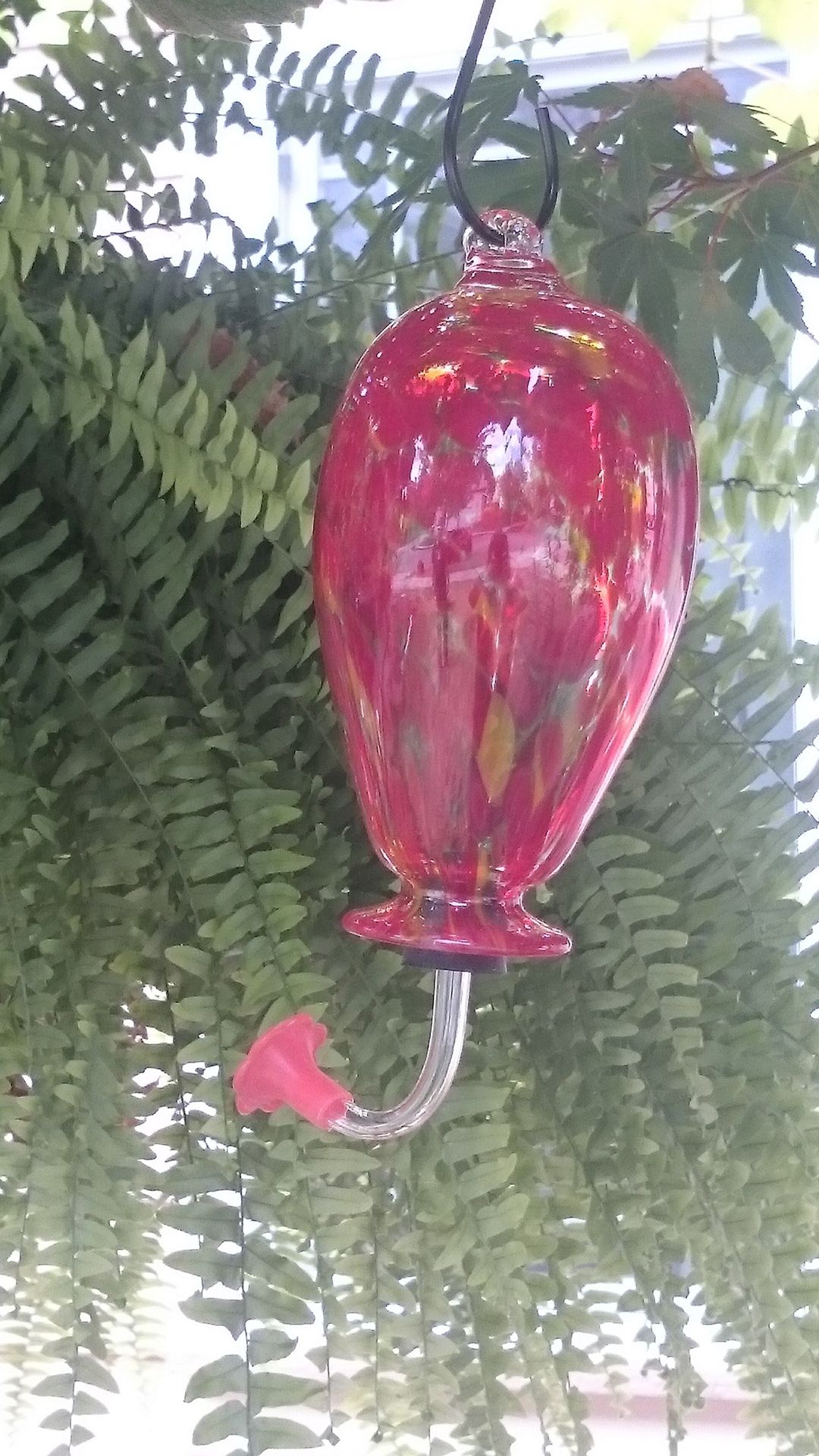 New In Box Glass Hummingbird Feeder