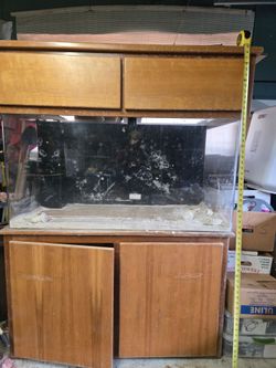 fish tank20