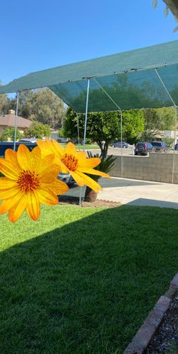 Brand new tarp and poles