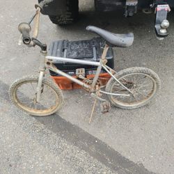 Vintage Diamondback Mini Viper