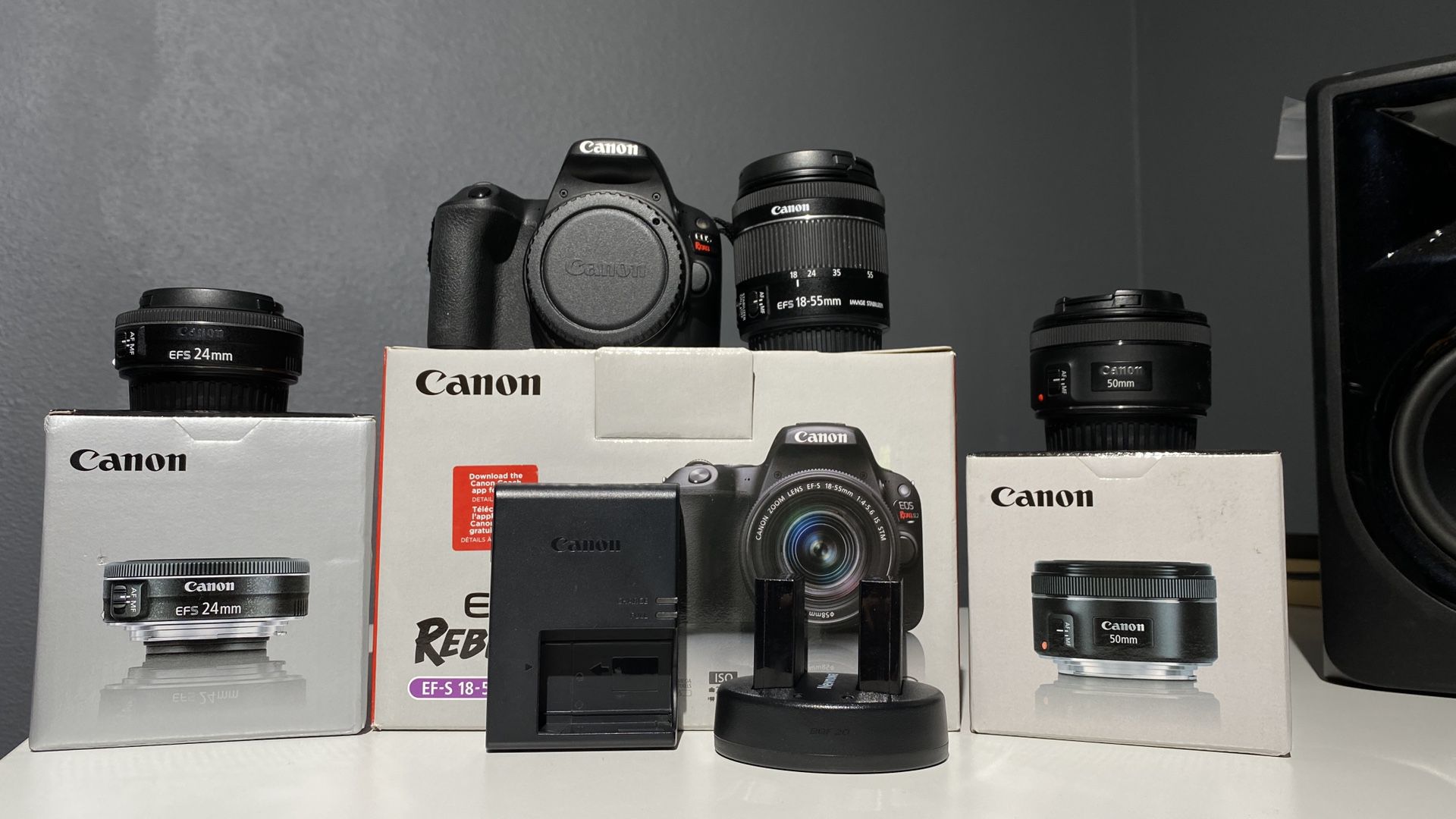 Canon Sl2 with lenses and accessories